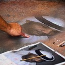 محمدالدهماني28656DE0 (@009342) Twitter