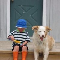 Heather Warkentin (@heathwark) Twitter profile photo