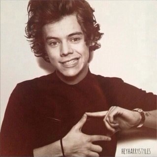 Hey guys please go follow @narrybums please i really want to reach my goal. Ily.