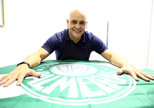 Palmeiras minha vida e você