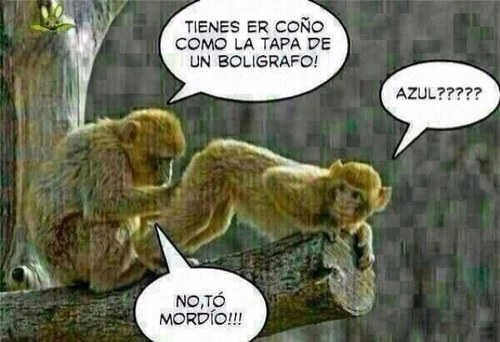 Vivo y trabajo en santander. La vida es bella!
