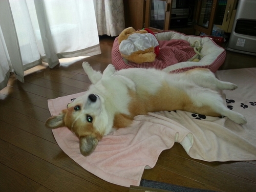 xenotime0302's profile picture. 