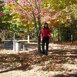 November11Storm's profile picture. #KAGA “Always remember, socialism destroys nations; but freedom unifies the soul.” President Donald J. Trump #SOTU2020