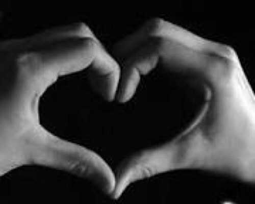 aziz_alshamary's profile picture. 