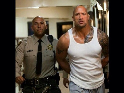 767Alwleed's profile picture. 