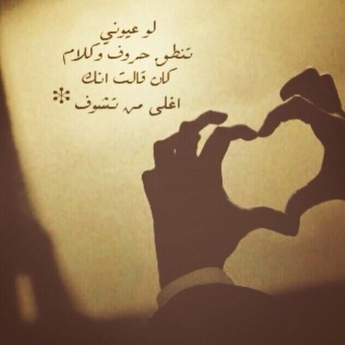 محب لشعر فلو مي فو باك Q8