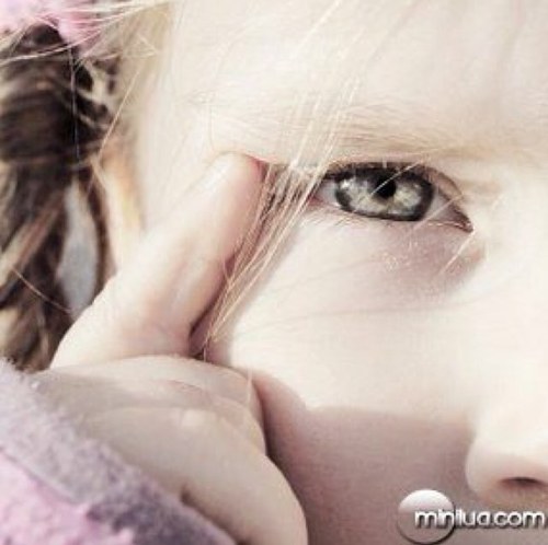 Pararefletir123's profile picture. Alimente sua mente.