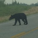 Andrew Ryans - @Last_im_free - Twitter