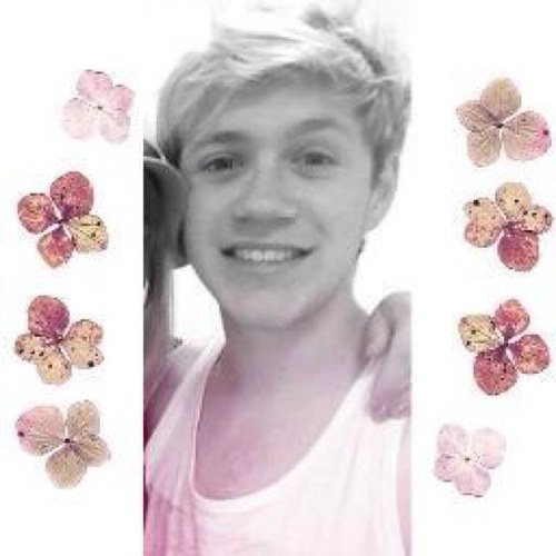 KellySloth's profile picture. 