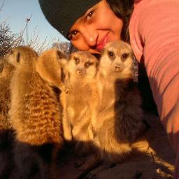 Behavioural Ecology | PhD | CES, IISc | Thesis focussed on understanding the nature of female-female competition in polygynous mating systems