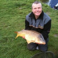 Chris robinson (@chrisrobbo5) 's Twitter Profile