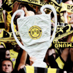 Borussia Dortmund- mein Verein! 
*Echte Liebe*