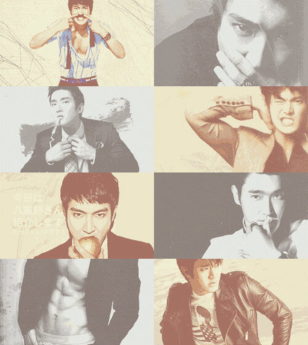 VisualSJ;#GANBATEfams #TYPOFAMS #SJSquad Prev : Siwon4407_