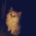 Bo arwah (@0555972217) Twitter