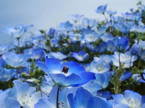 mktsoni's profile picture. 