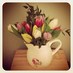 vanessa capper (@nesscapper) Twitter profile photo
