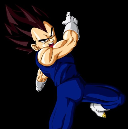 Hola mi nombre es vegeta mi esposa es bulma tengo dos hijos mi primer hijo  es truncks y mi segunda hija es bra y odio a karatoto