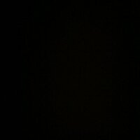 Q (@bougieq) 's Twitter Profile