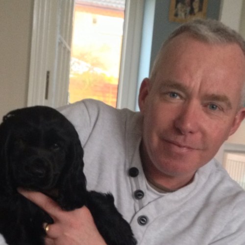 john carmedy Profile