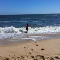 Colm Ó hOisín (@colmohoisin) 's Twitter Profile