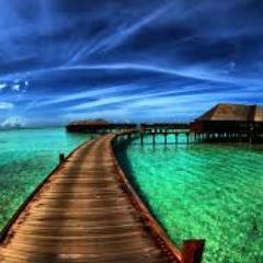 The best pictures on this planet.  Enjoy! Email goodnaturepics@gmail.com to send good pictures.