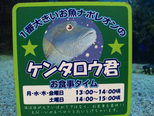 長野県諏訪市出身。 動物占いはオオカミです。