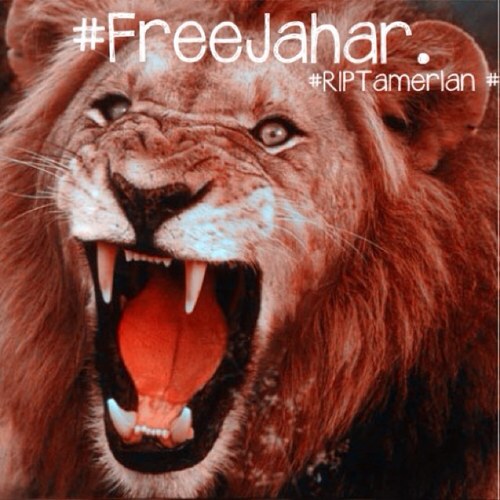 Supporting Jahar!! He's just a child, and he's innocent! Pray For Tamerlan, Pray For Jahar! RIP Tamerlan! 5/4/13❤ Джохар Царнаев http://t.co/AOqY3wR1SC