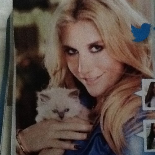 Love animals! Especially horses! Kesha is my idol!! She followed me7/30/13 but i also love Princess Ariana Grande!!