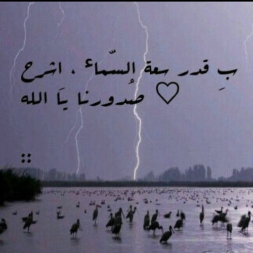 أنا مُجرد أنثى أخذتني الأحلام الى ﻣگان ﺑعيد ۈ في داخلي گومة من الاشياء المُبعثرة ، اُريد الاصلاح ماَ استطعت ۈ دائماً ما اُردد الله المستعان عمّا يصَفون ♡̷̷̷̷̷̷̷