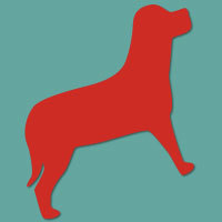 animalsleaning Profile Picture