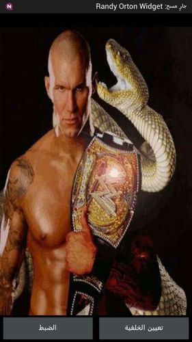 wweraw33441's profile picture. 