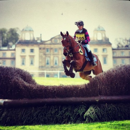 Amateur event rider competing at the lower levels in eventing and dressage. Loving being a mummy to my two little boys