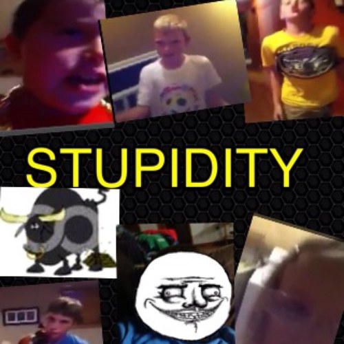 SEARCH POOPINGANIMALS ON YOUTUBE!