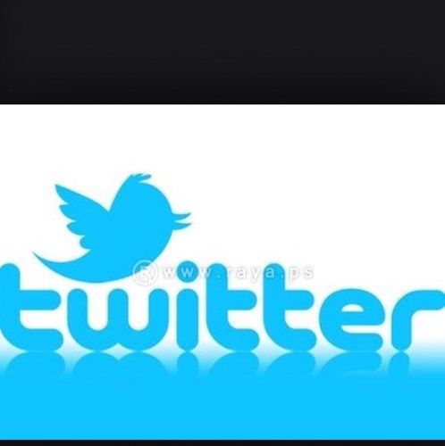 po9li9ce9's profile picture. 