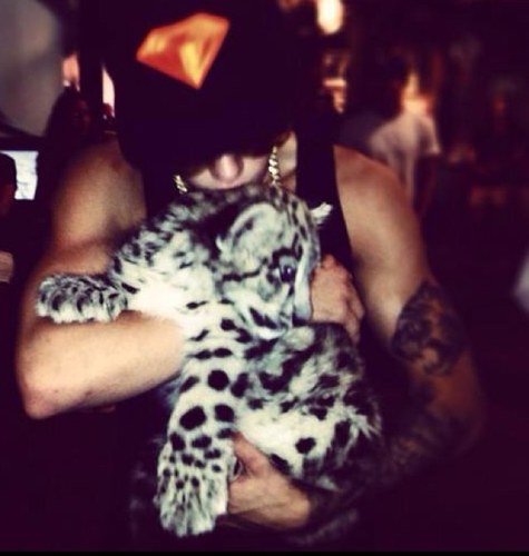 i'm just a leopard don't be afraid rawr