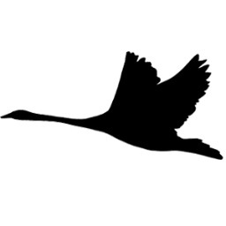 LpoolSupperClub's profile picture. The Liverpool Supper Club brings a unique dining experience to the foodie folk of the city interested in eating away from the traditional restaurant setting.