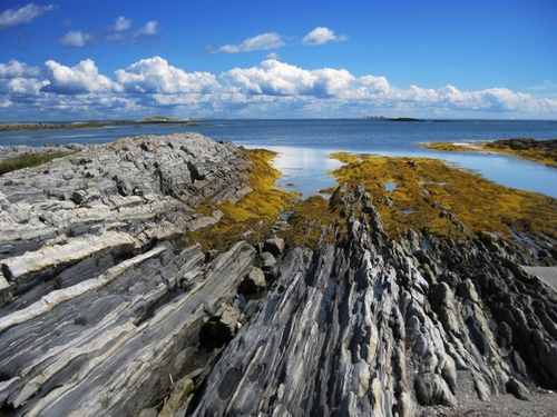 PPaddling's profile picture. Sea-kayaking out of Blue Rocks, Nova Scotia!