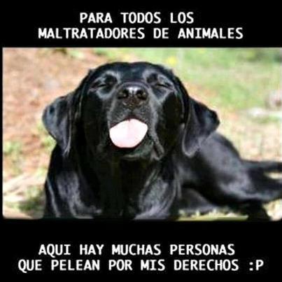 maguadalupejc's profile picture. 