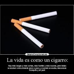 SOY FELIZ CON UN CIGARRO :3