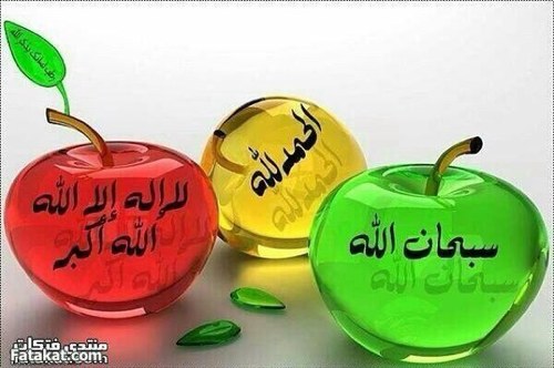 saalem502's profile picture. استغفر الله