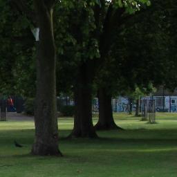 Local Community park- our well being is mutual.                                             
                 Tall aspirations, humble beginnings.