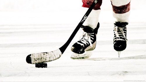 So you love hockey too