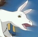 鬼灯さんのプロフィール画像