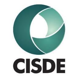 Centro de Investigaciones Sociales y Dirección Estratégica. Somos un grupo interdisciplinario de académicos visionarios y líderes de las ciencias políticas