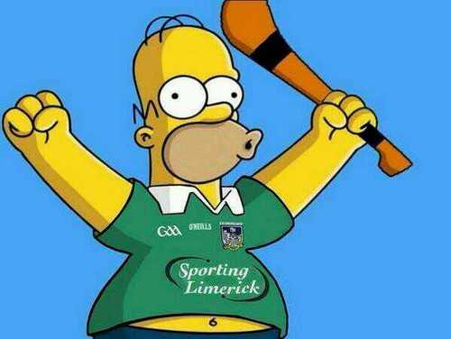 gaa ref