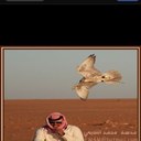 ابراهيم (@22_amt) Twitter
