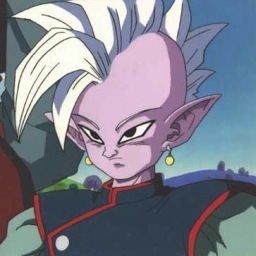 It is I, Supreme Kai. I have came to Earth to rid the universe of the monster known as Majin Buu!