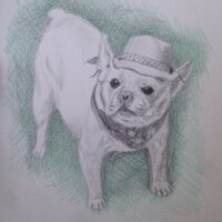 ながおか ゆうと (@07yuto23) Twitter profile photo