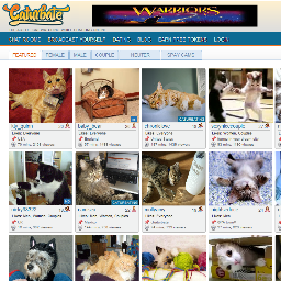 People Of Chaturbate (@ThePeopleOfCB) - Twitter