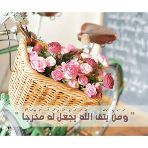 ‏أعظم الربح في الدنيا أن تشغل نفسك كل وقت بما هو أولى بها، وأنفع لها في معادها